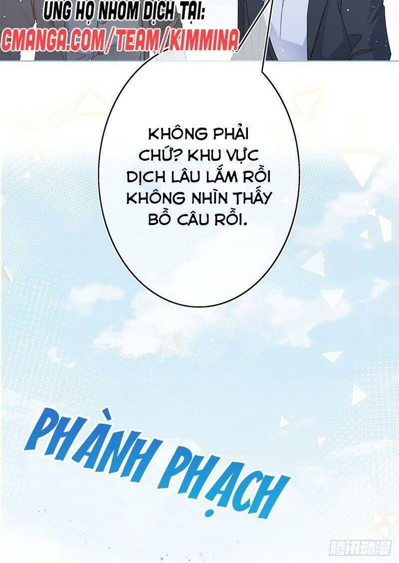 page_11