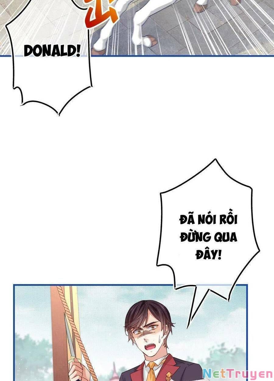 page_26