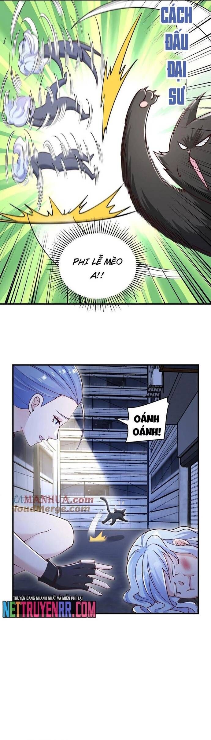page_11