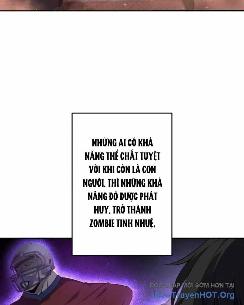 page_24
