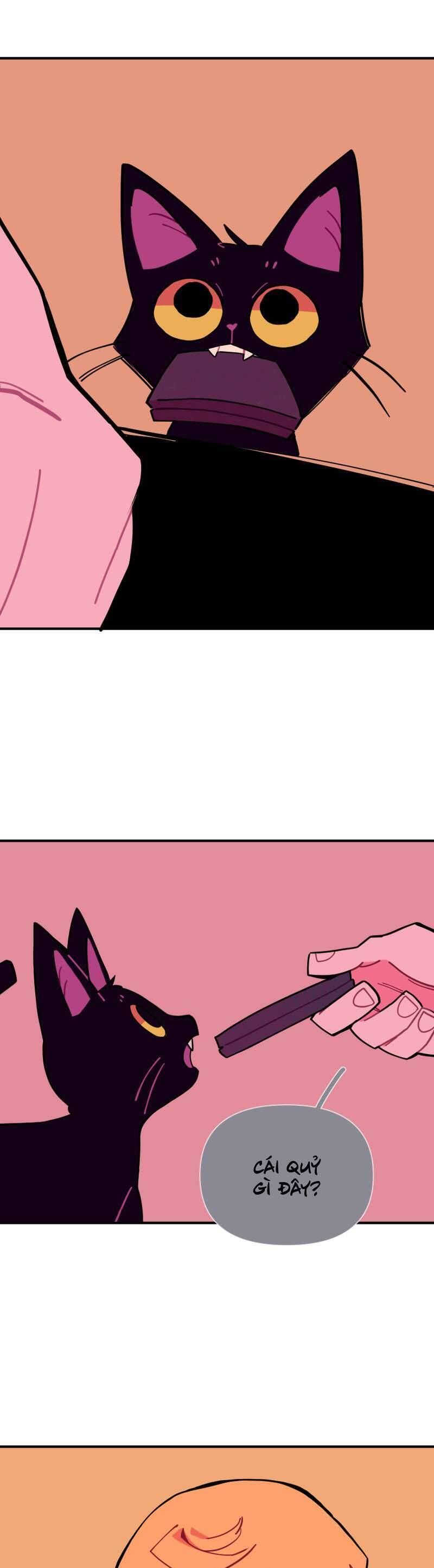page_19