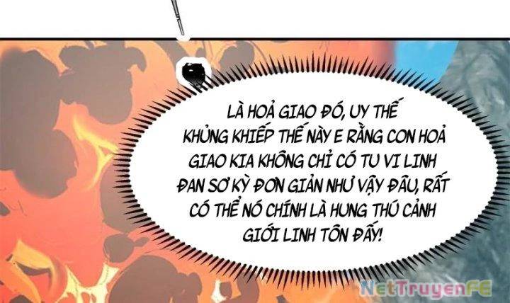 page_19