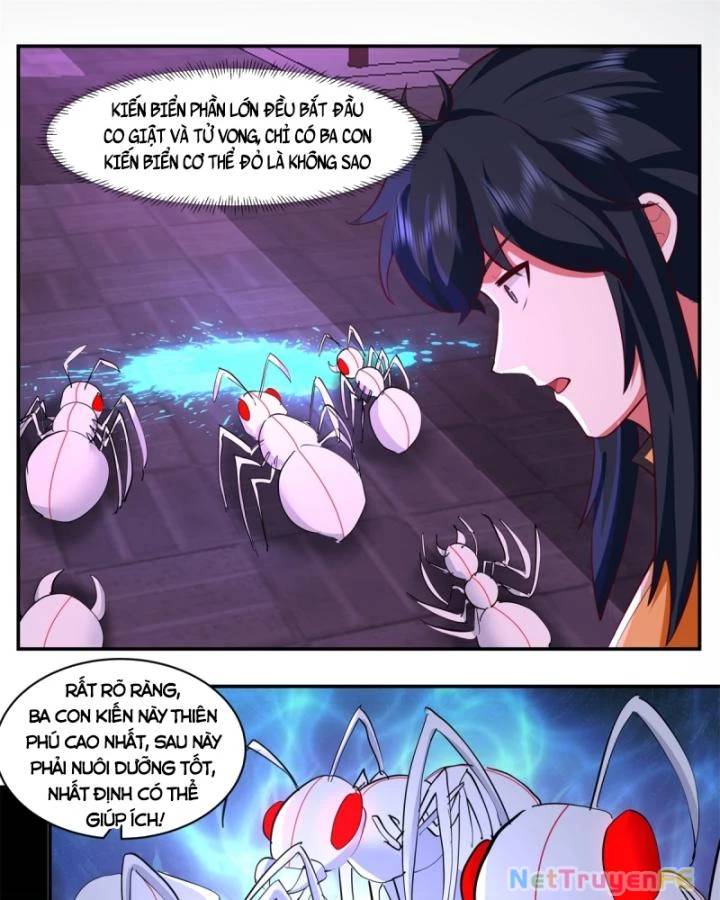 page_11