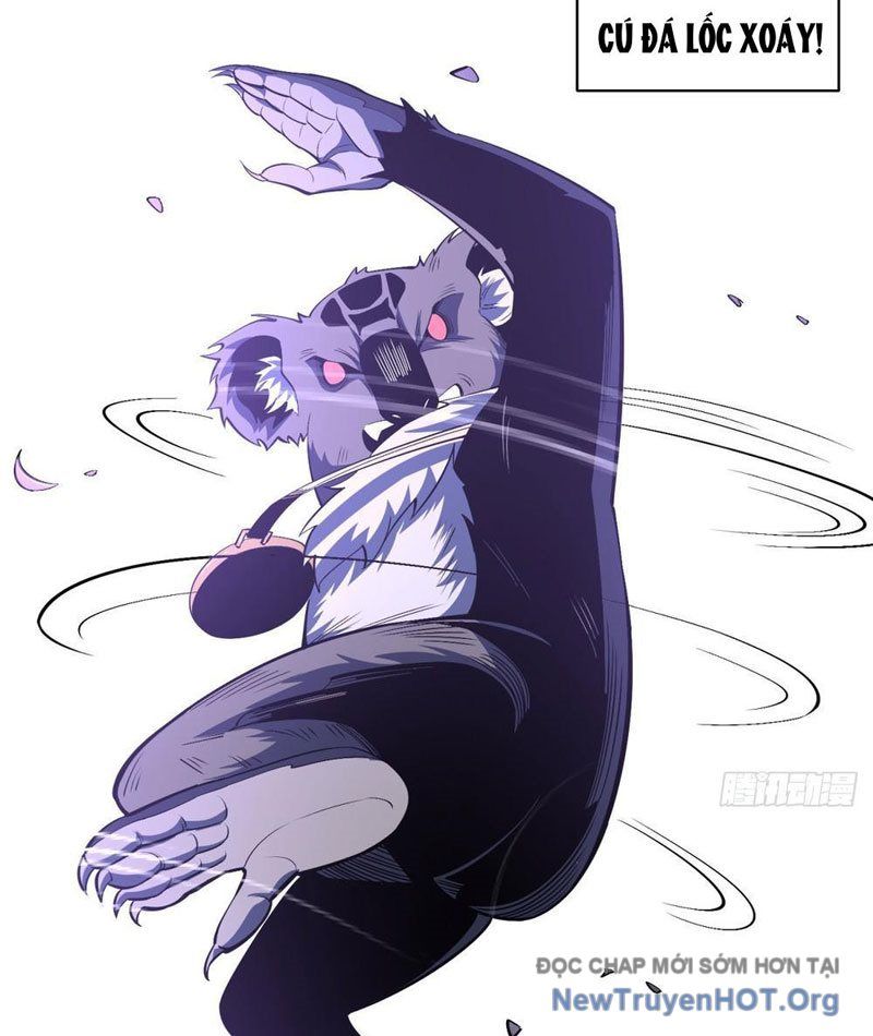 page_17