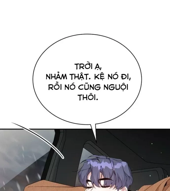 page_117
