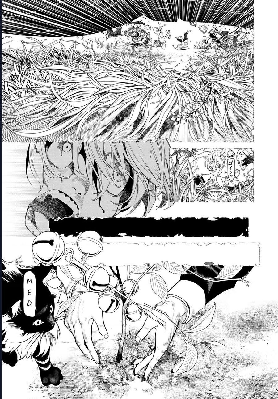 page_29