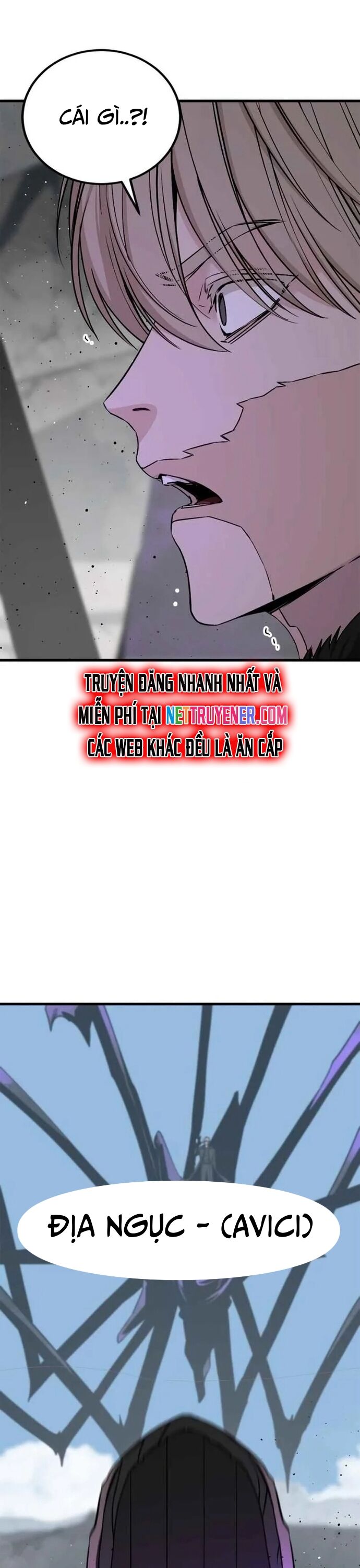 page_29