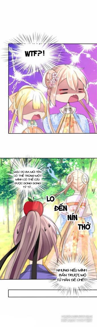 page_5