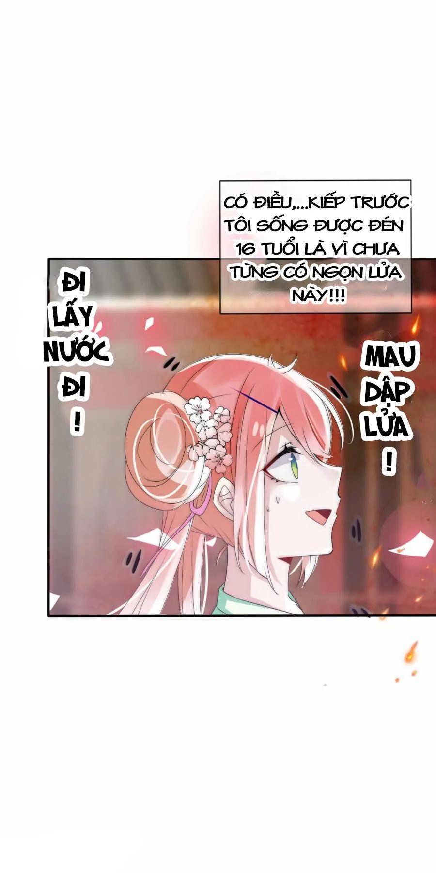 page_29