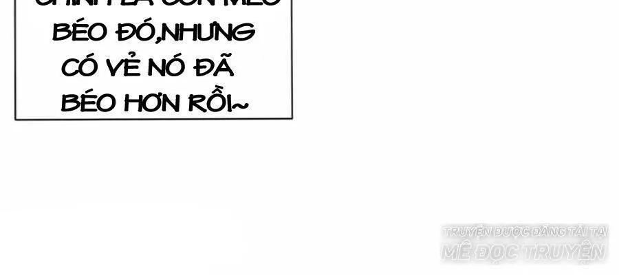 page_36