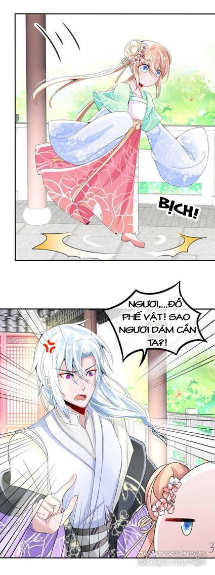 page_5