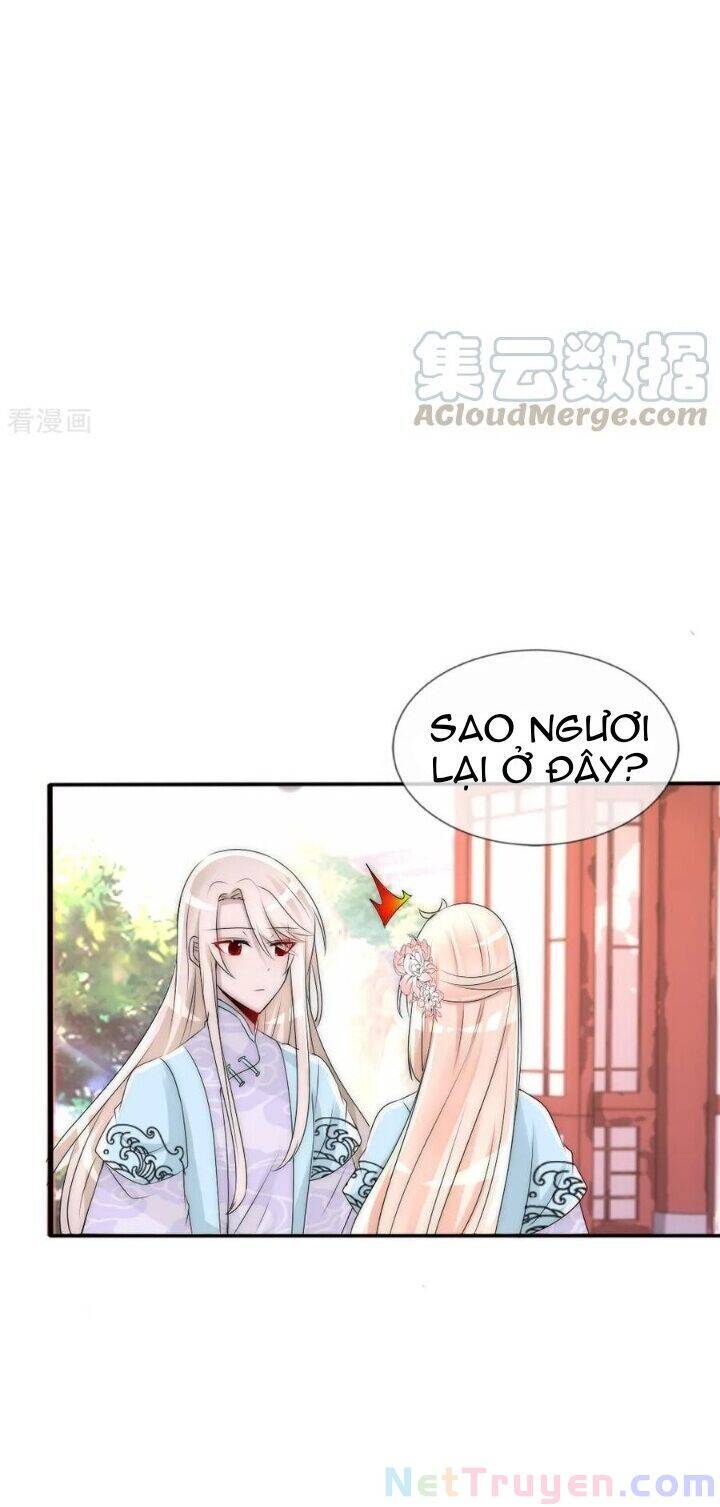 page_24