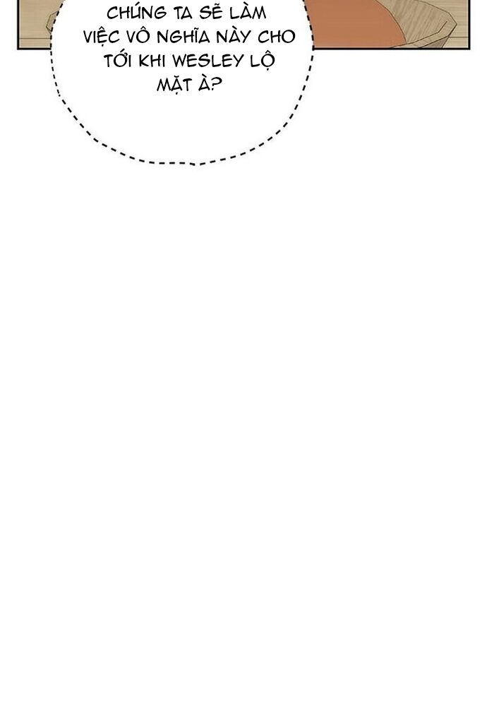 page_41