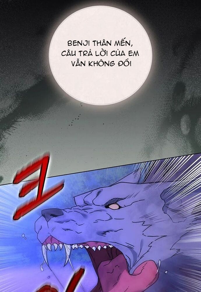 page_16