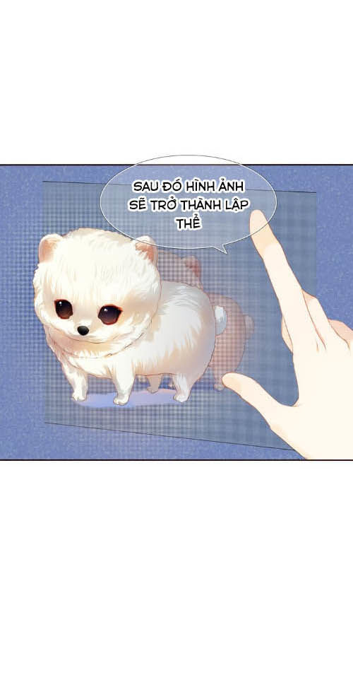 page_6