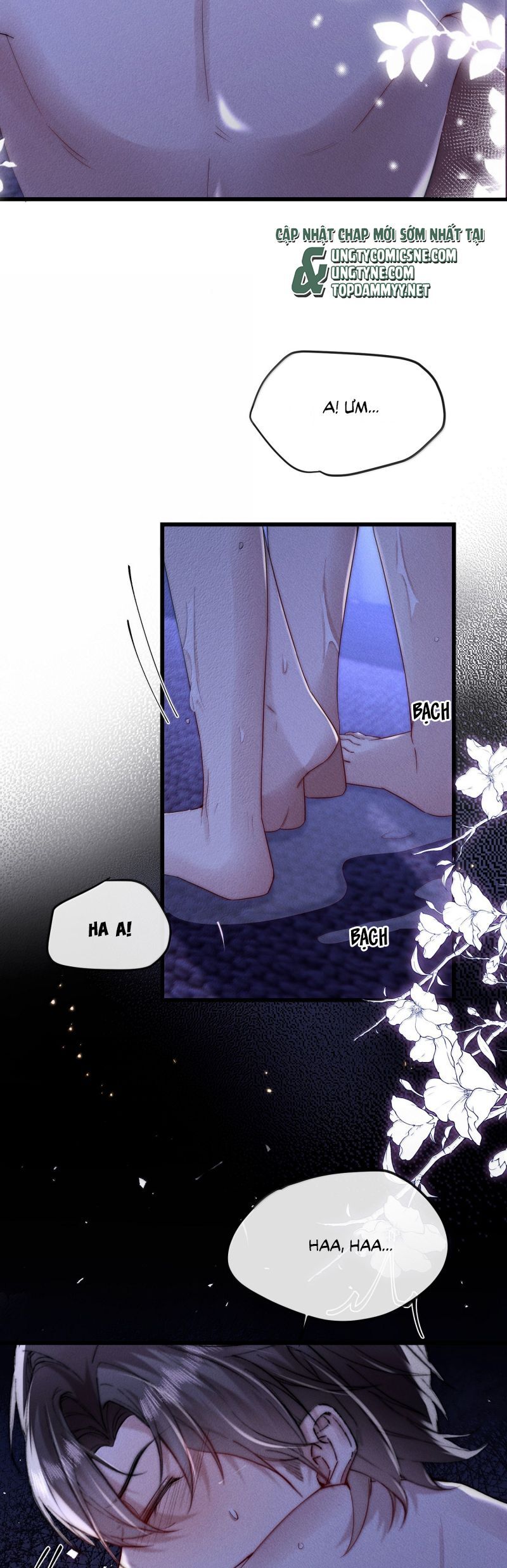page_15