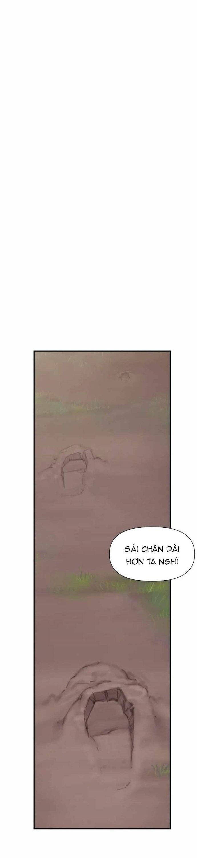 page_28