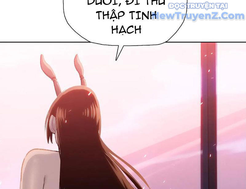 page_42
