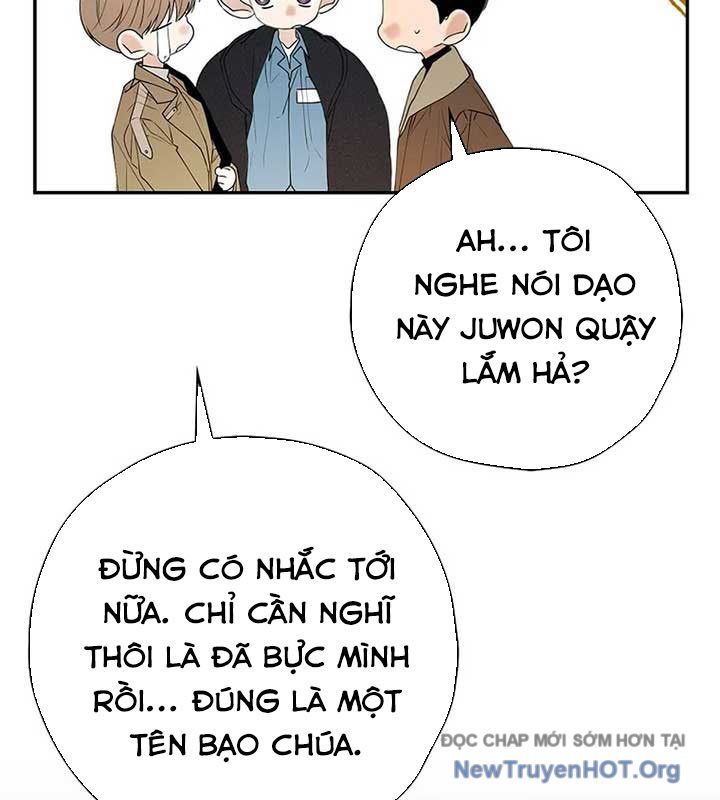 page_24