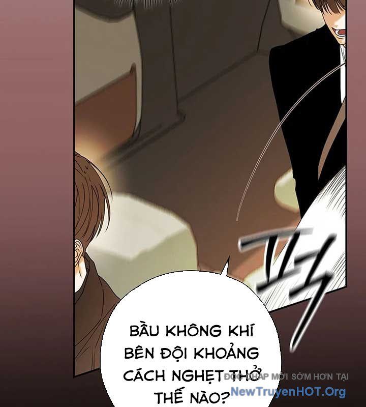 page_41