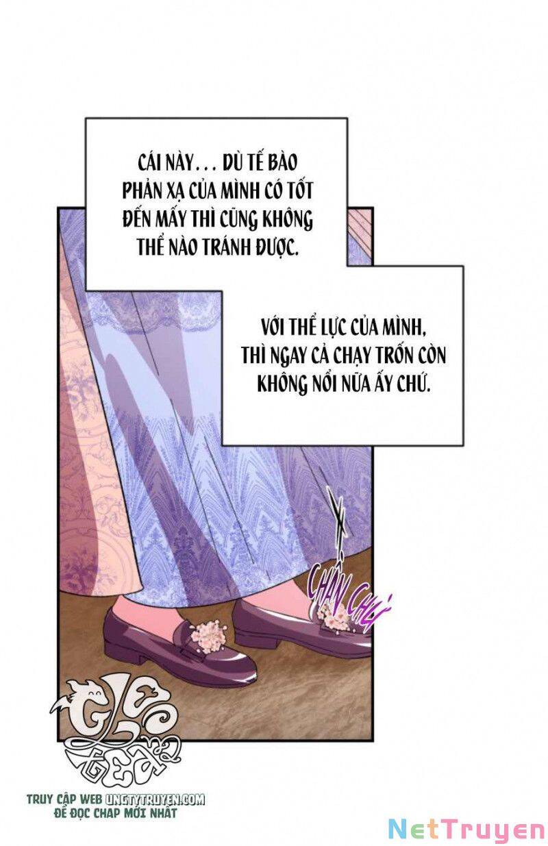 page_17