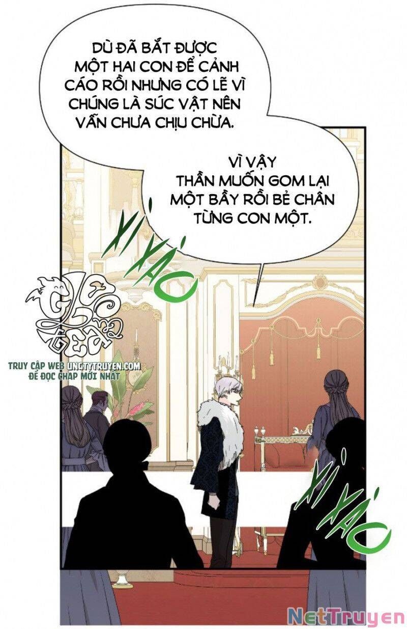 page_16