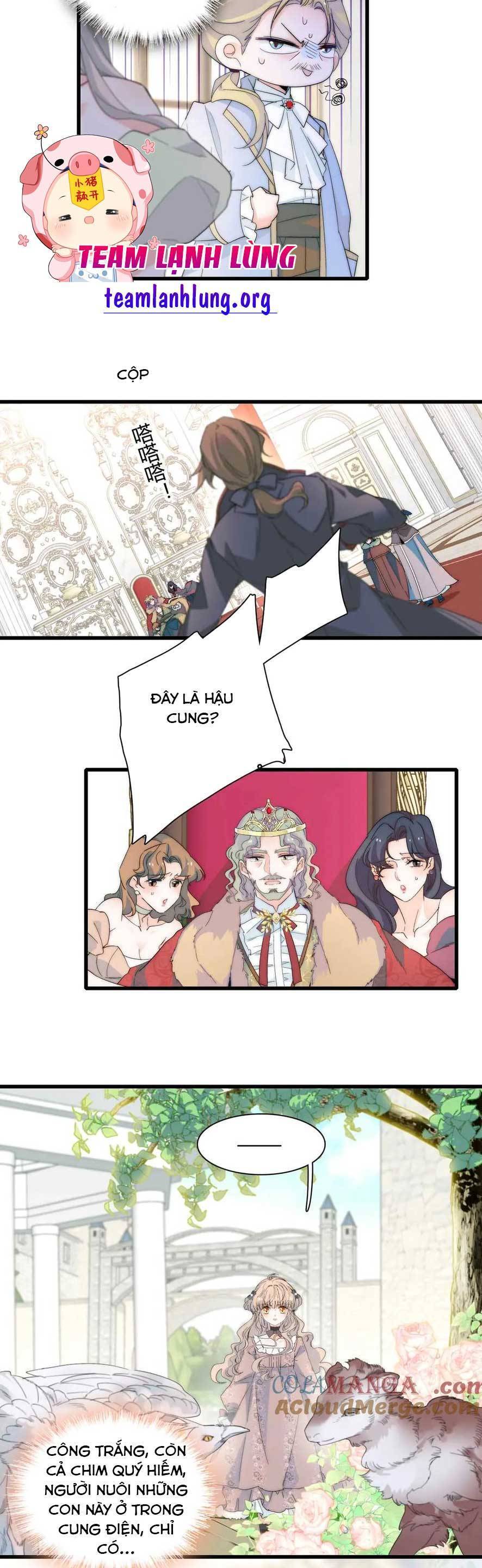 page_16