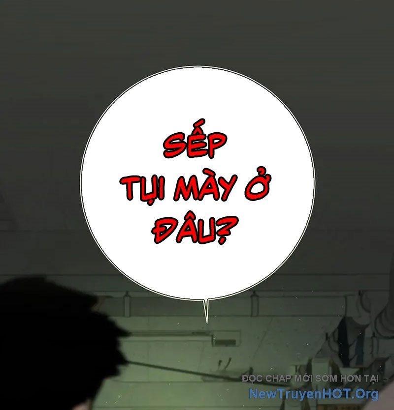 page_41