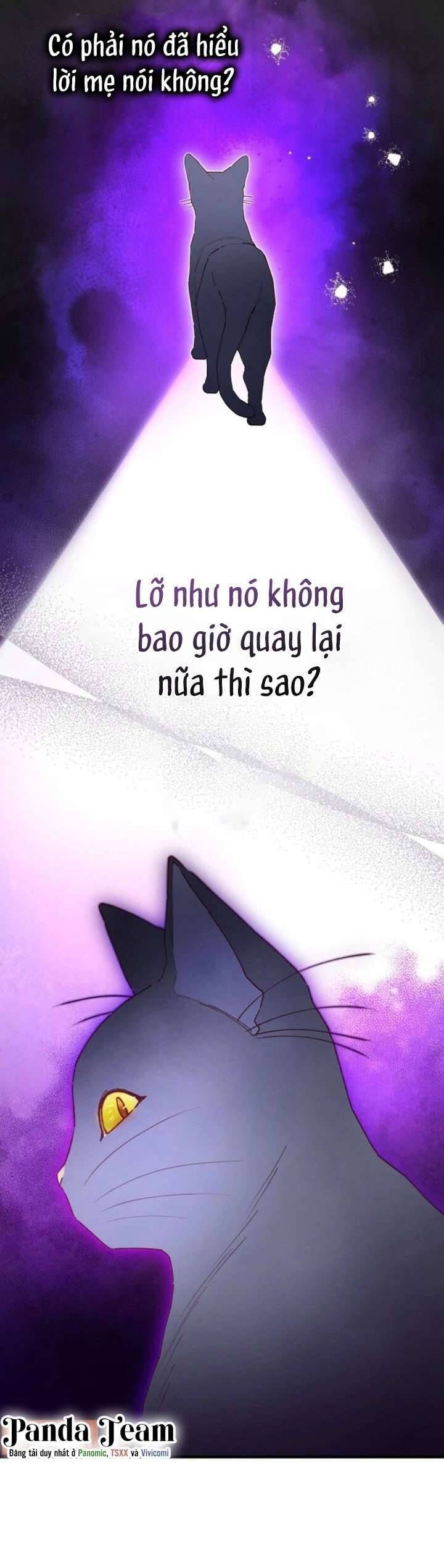 page_37