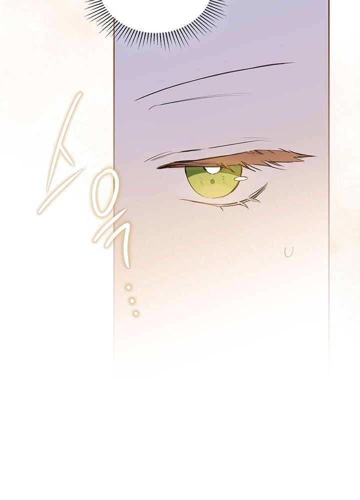 page_29