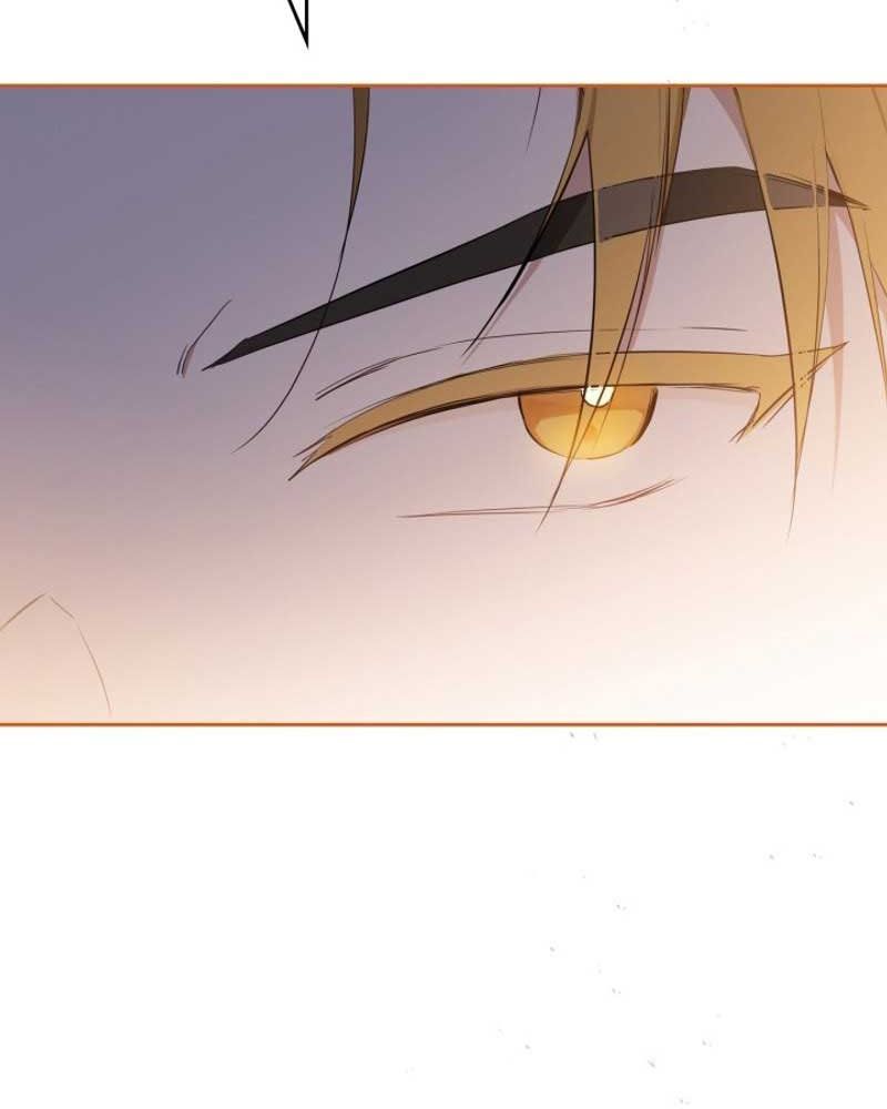 page_137