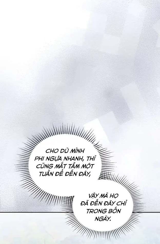 page_29