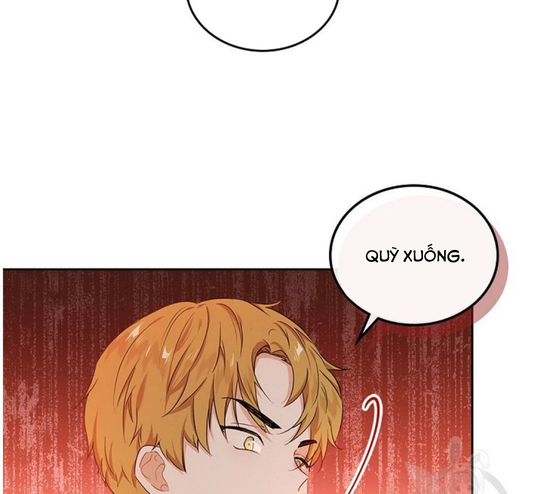 page_37