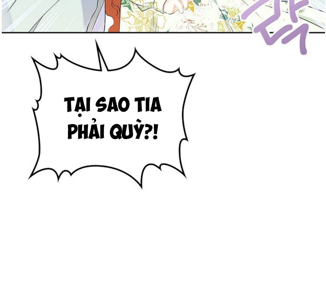 page_41
