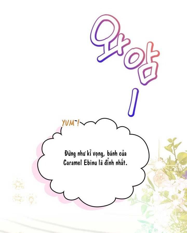 page_41