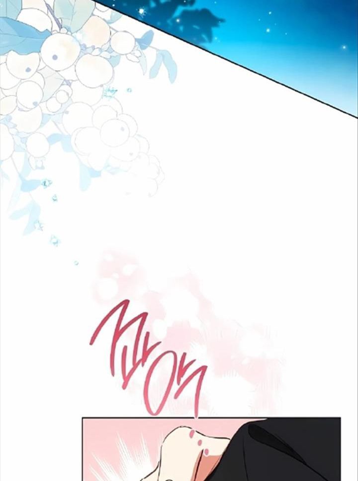 page_29