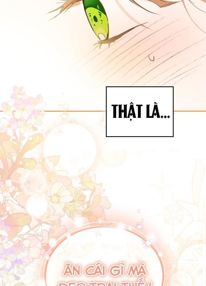 page_26