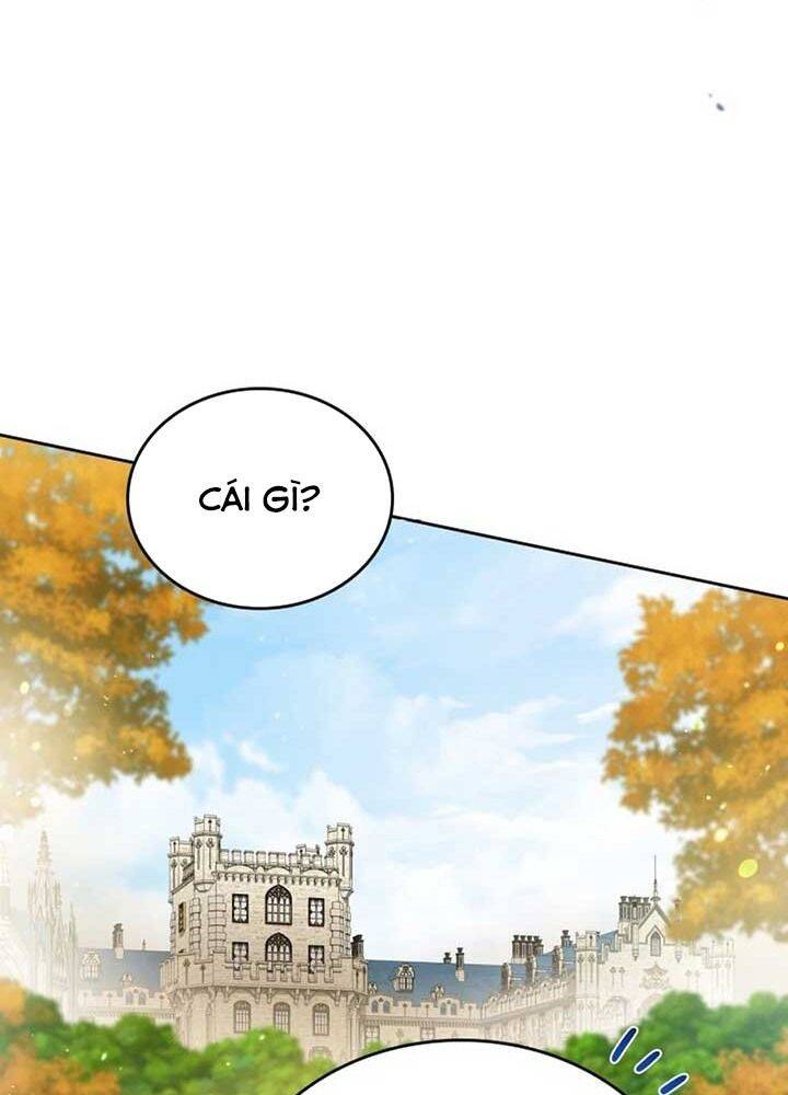 page_61