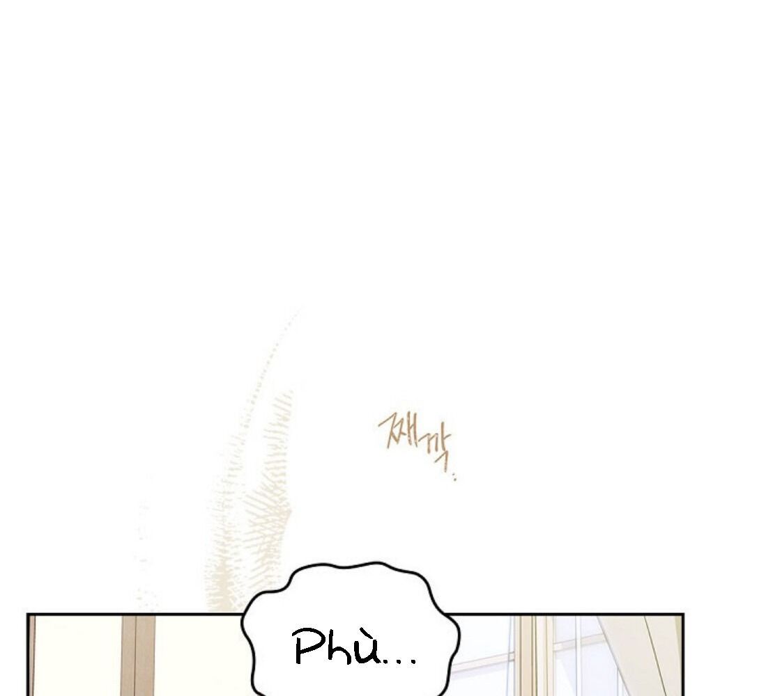 page_29