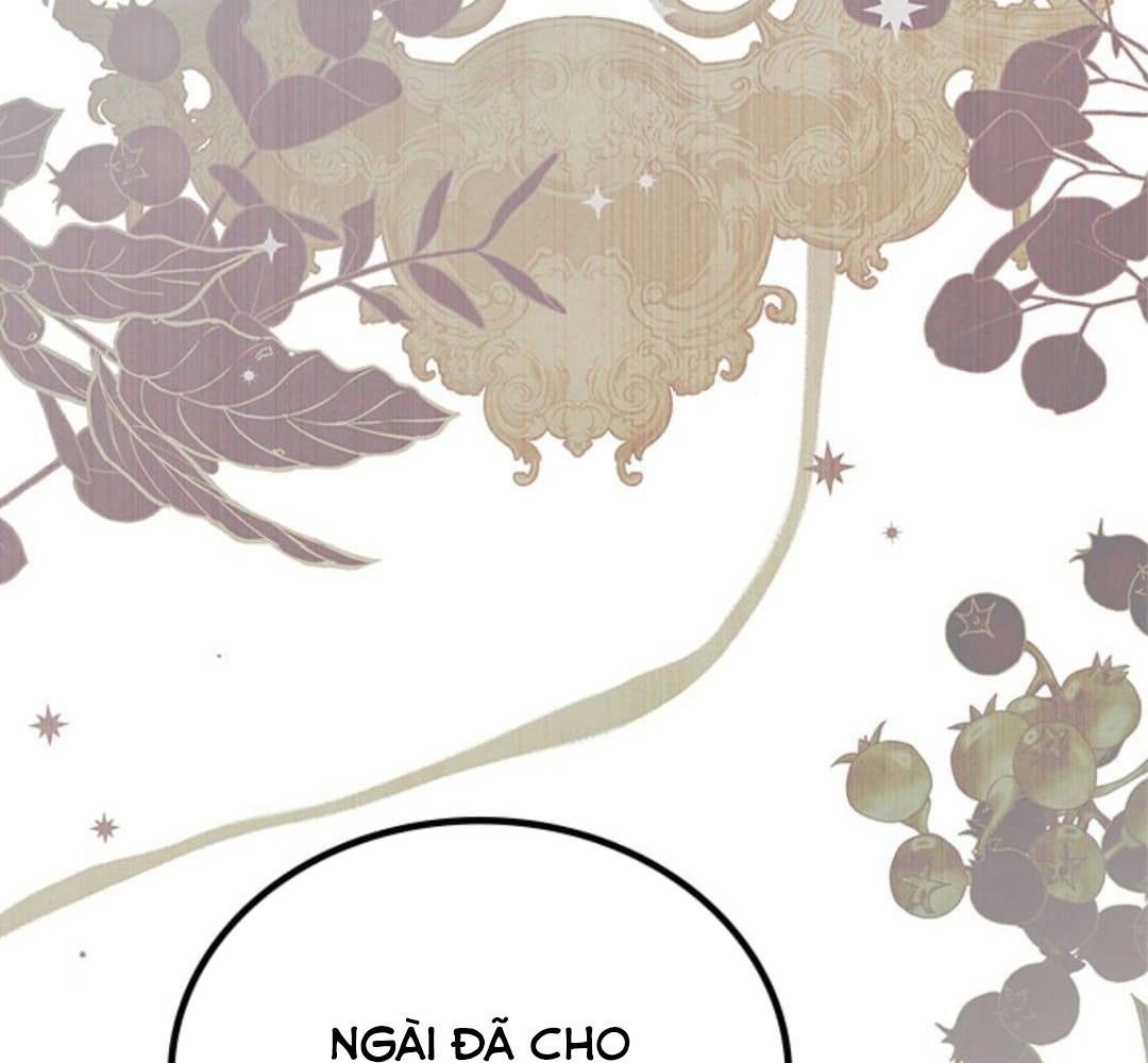 page_146