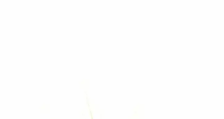 page_25