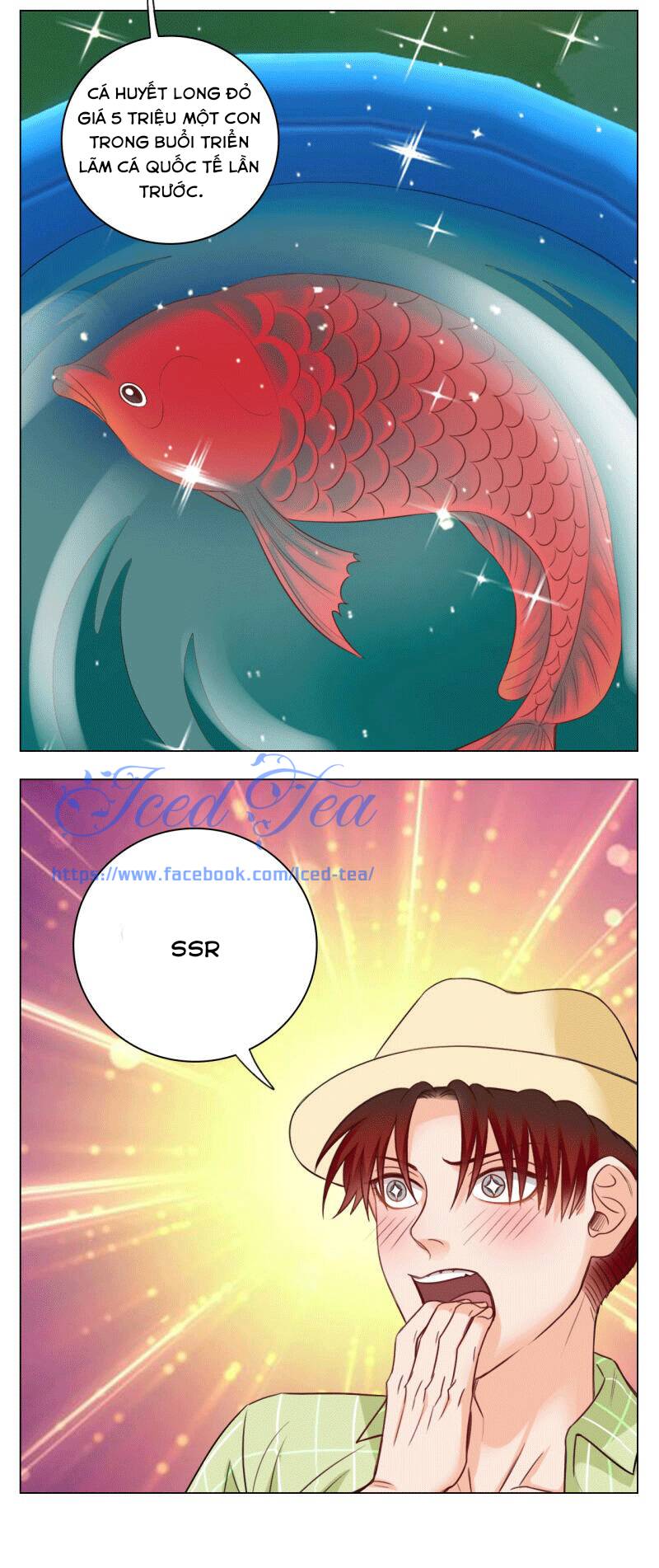 page_53
