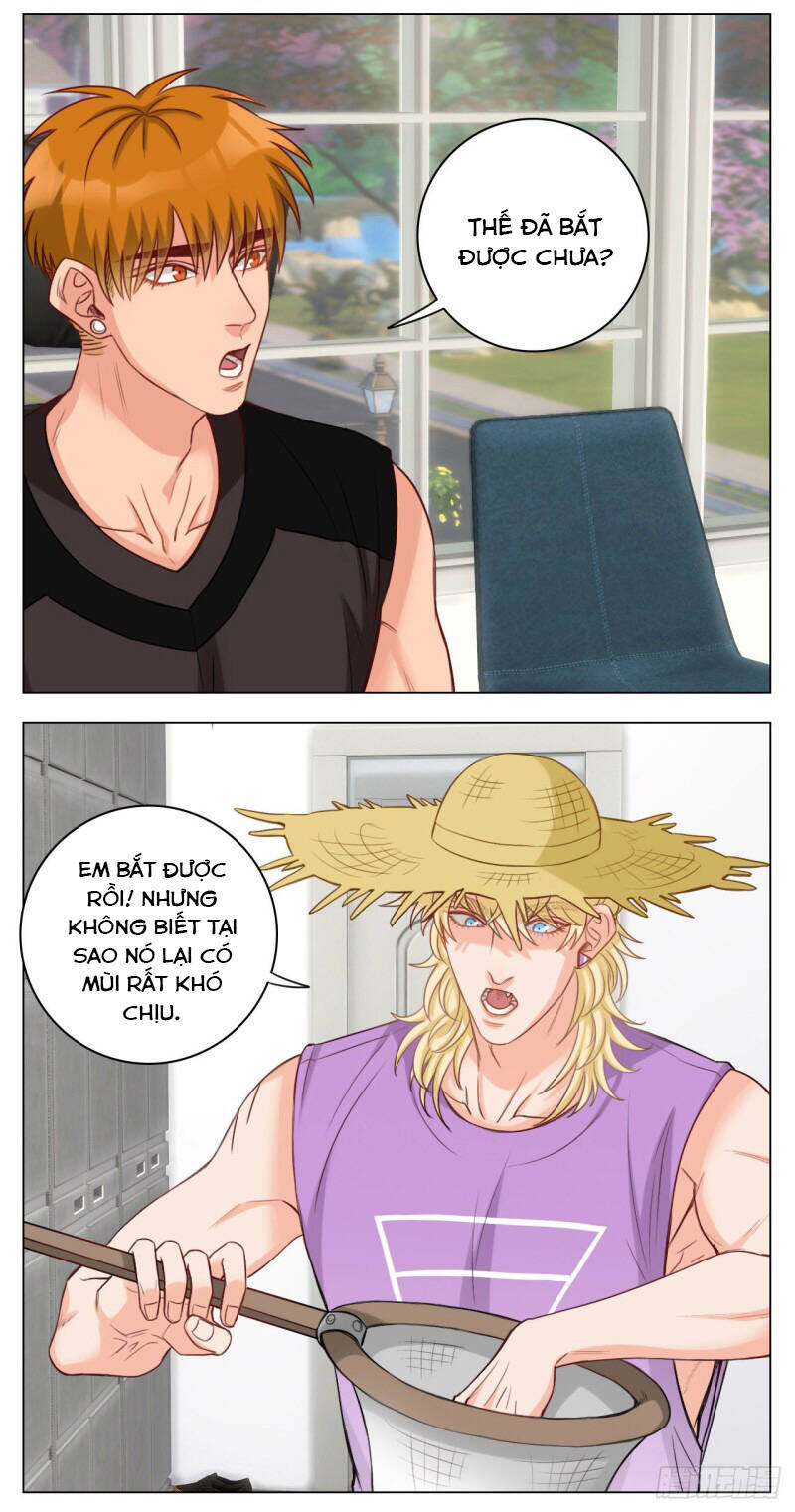 page_5