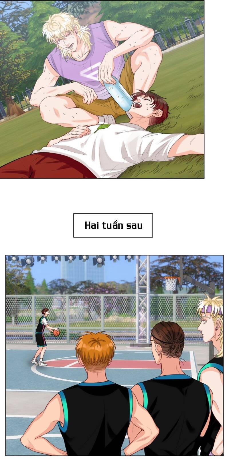 page_12
