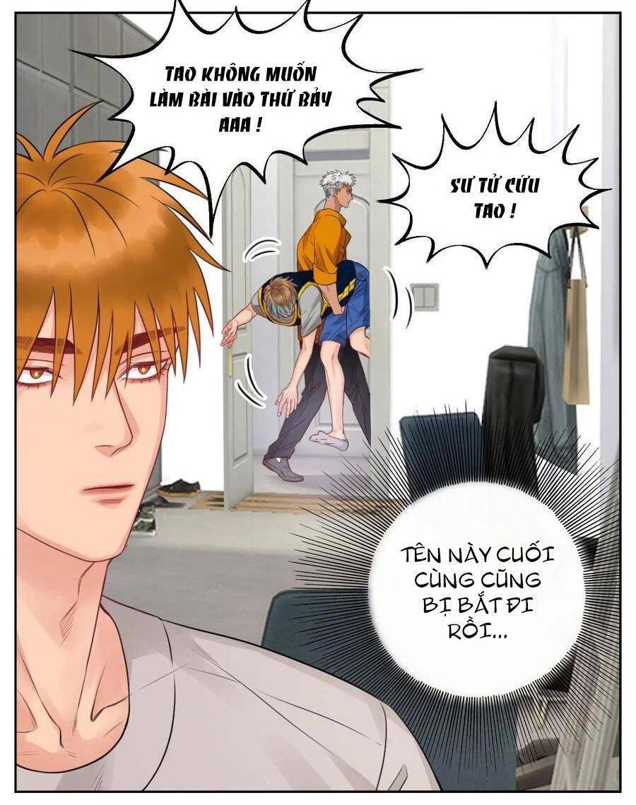 page_5