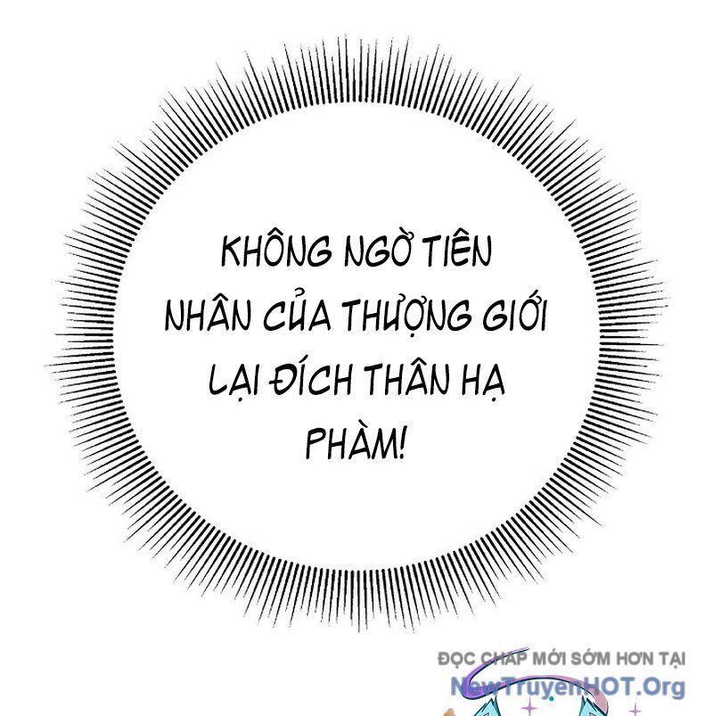 page_43