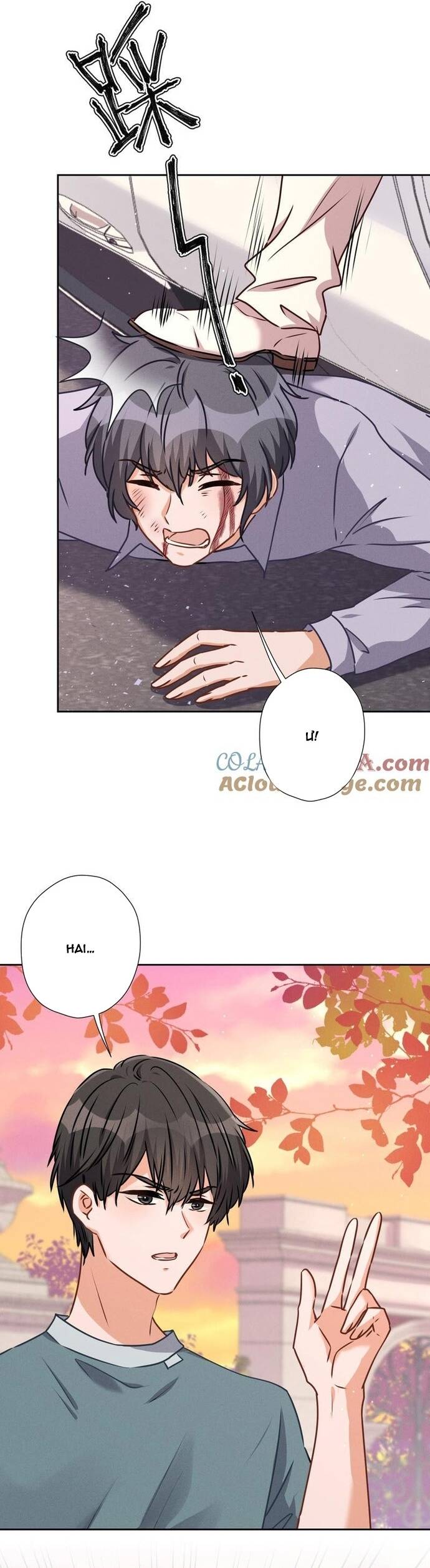page_5