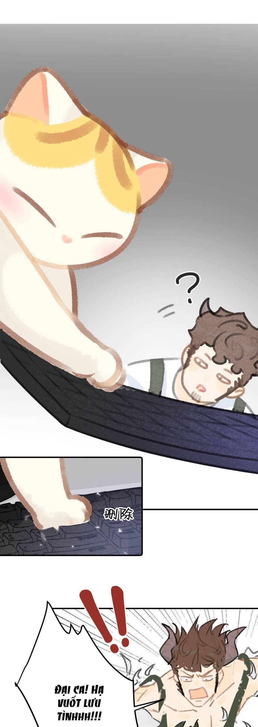 page_12