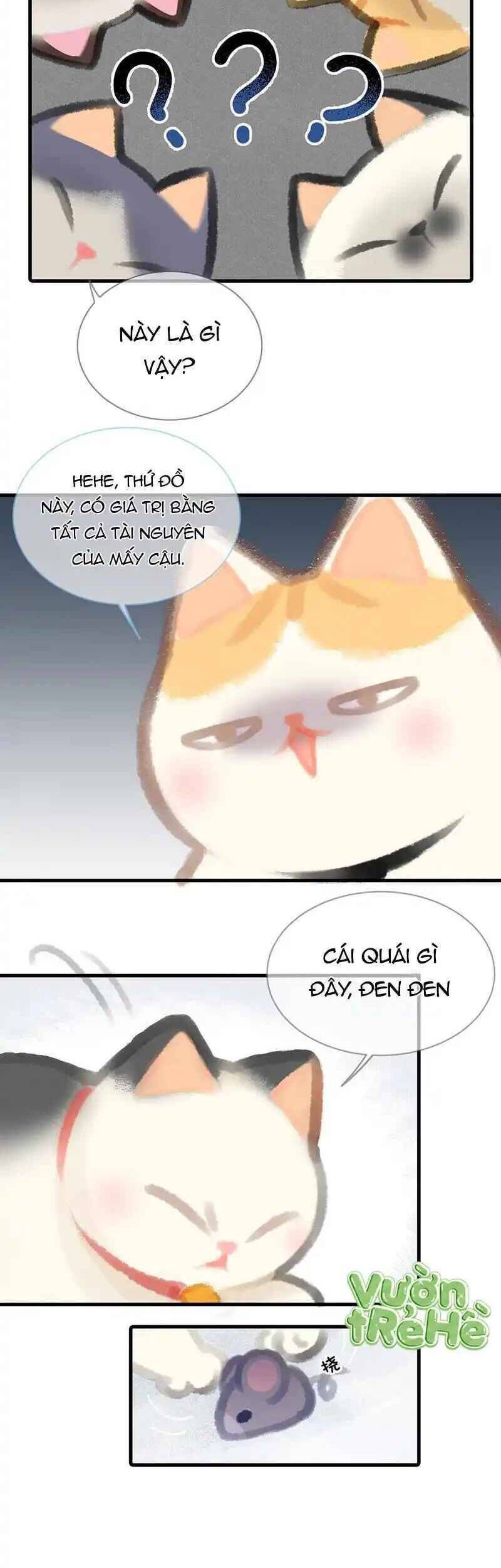 page_7