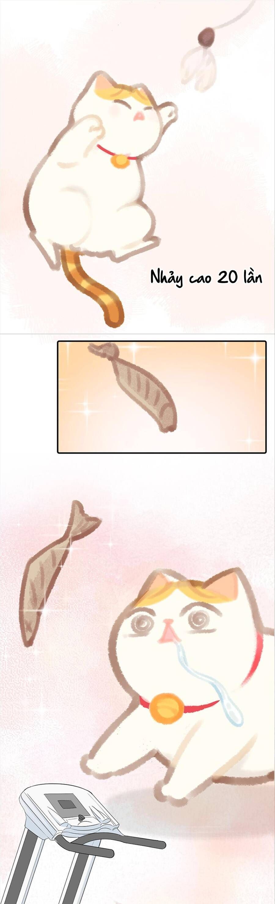 page_7